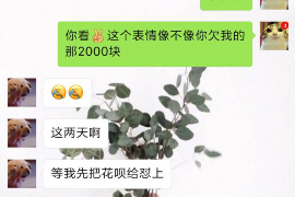 定安定安专业催债公司的催债流程和方法